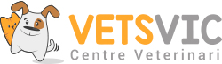 VETSVIC Logo